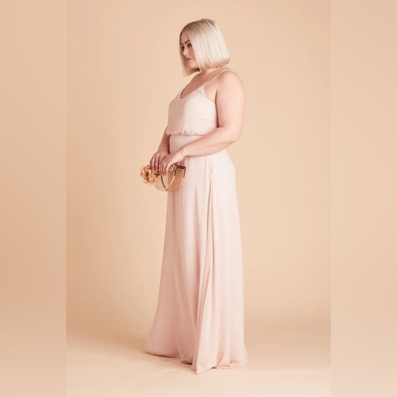 NWT Birdy Grey Gwennie Dress in Chiffon Pale Blush - Picture 3 of 7